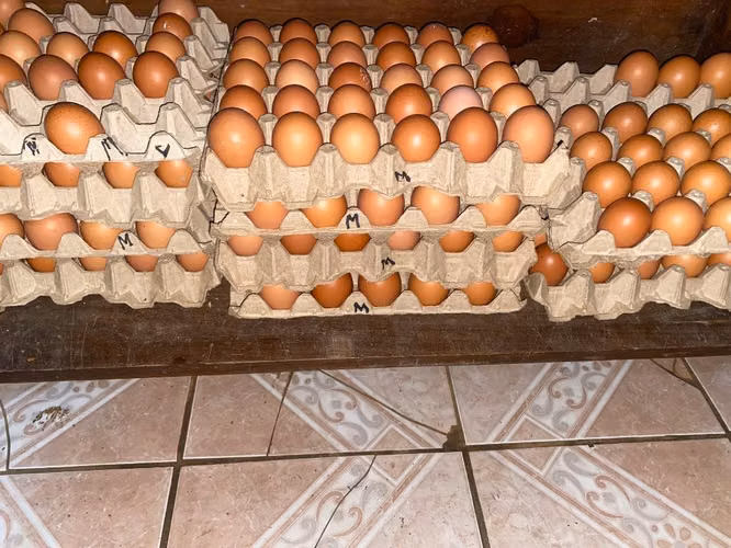 Apoyen a los pequeños productores 