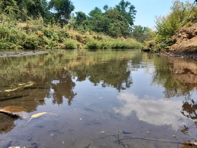 Venta de Finca en Leon
