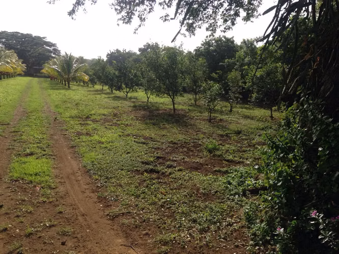  Venta de Finca en Nindirí
