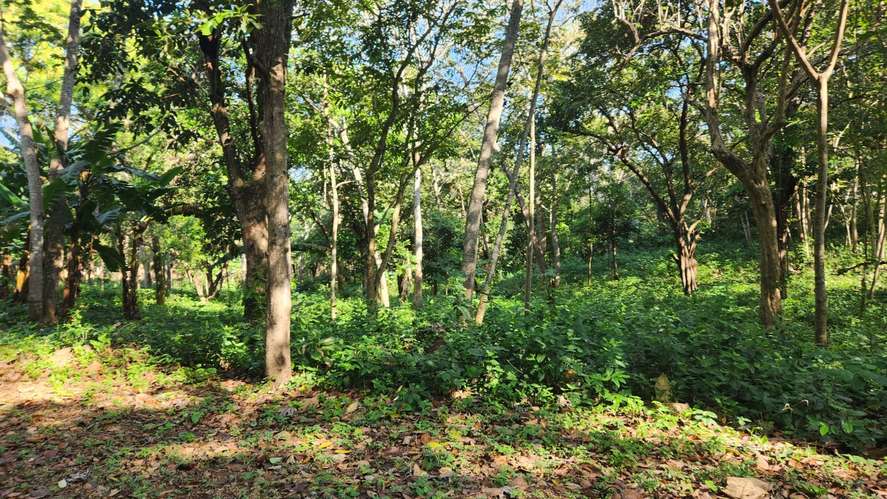  Precioso lote de terreno en 3era etapa Altos de Santo Domingo - Imagen 6