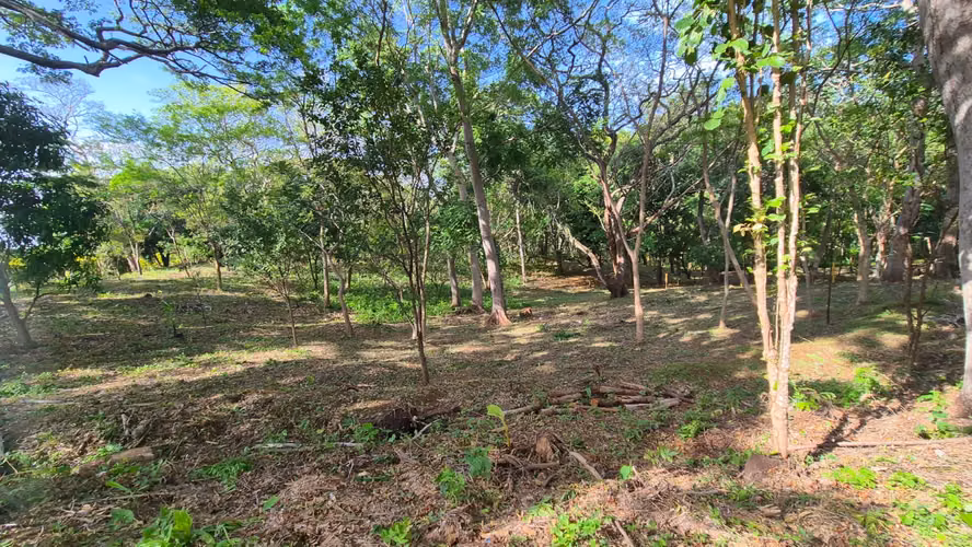  Precioso lote de terreno en San Isidro de la Cruz Verde