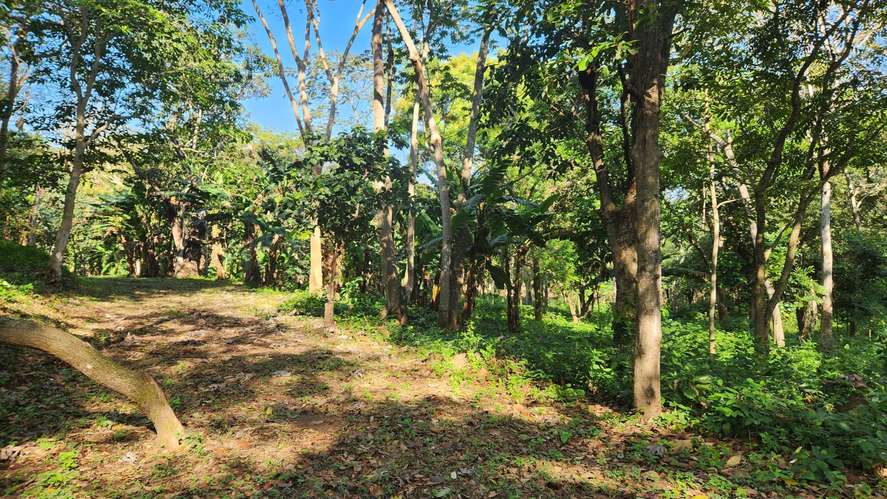  Precioso lote de terreno en 3era etapa Altos de Santo Domingo - Imagen 7