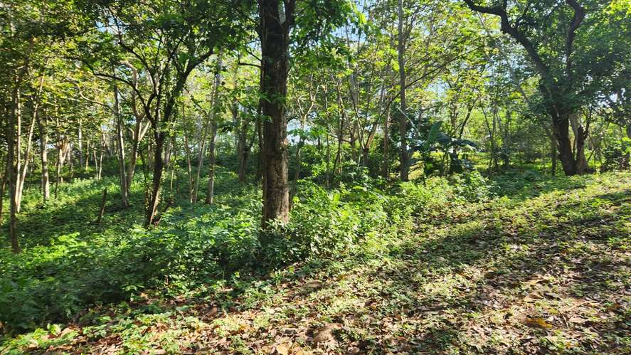  Precioso lote de terreno en 3era etapa Altos de Santo Domingo - Imagen 5