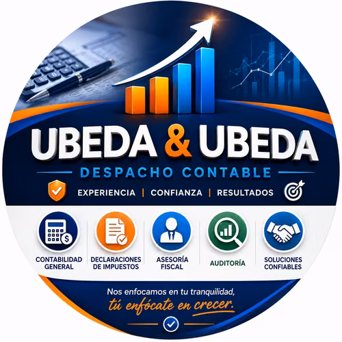 Contador Público Financiero - Despacho Contable