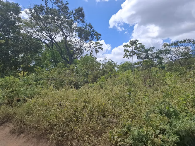 GG - !! Venta de Terreno de 10,000 Vrs2, en Ticuantepe !!