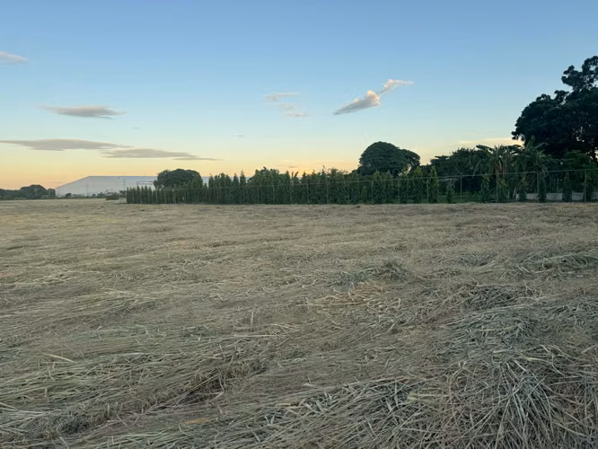 Venta de Terreno en Carretera Nueva a Leon