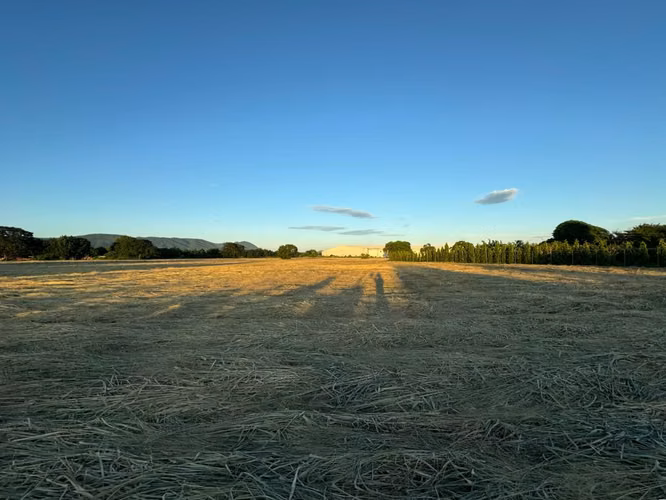Land for Sale on the New Highway to León