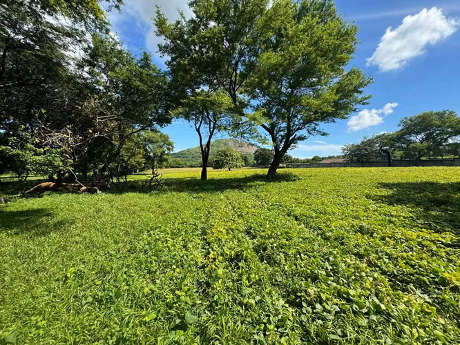 Venta de Terreno en Nejapa