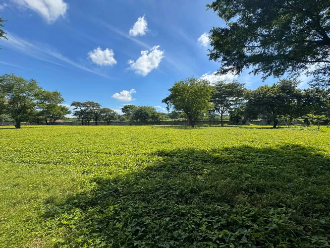 Venta de Terreno en Nejapa