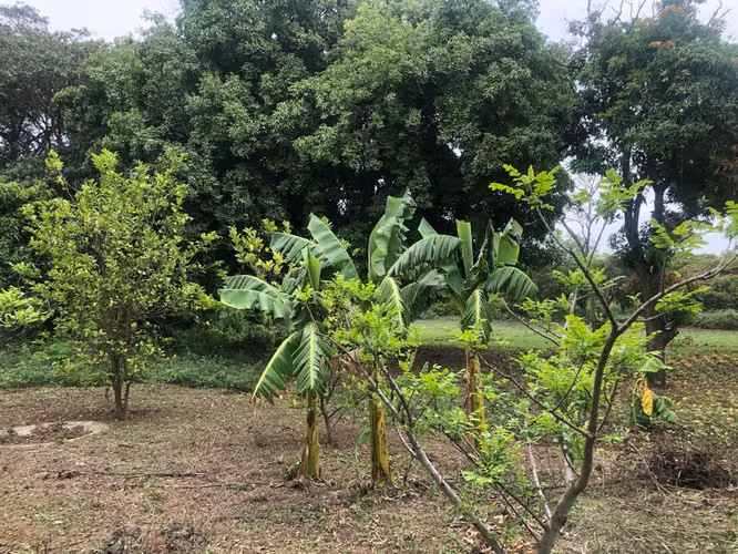 Venta de Terreno en Carretera a Masaya