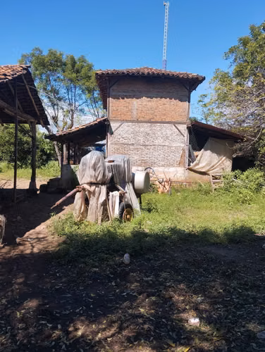 Finca Platanera Agro Verde en Venta