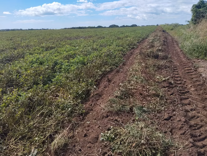 Finca Platanera Agro Verde en Venta