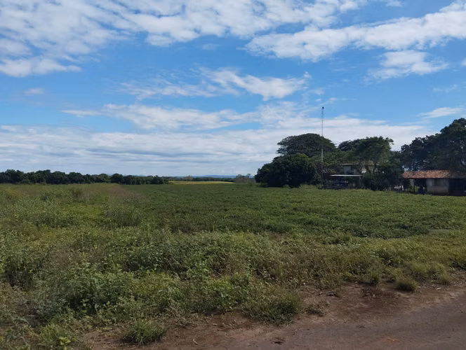 Finca Platanera Agro Verde en Venta