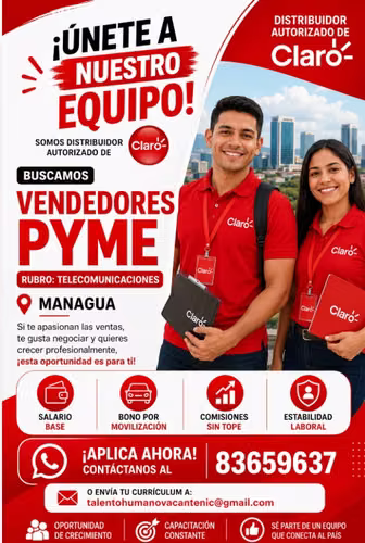 VENDEDOR PYME