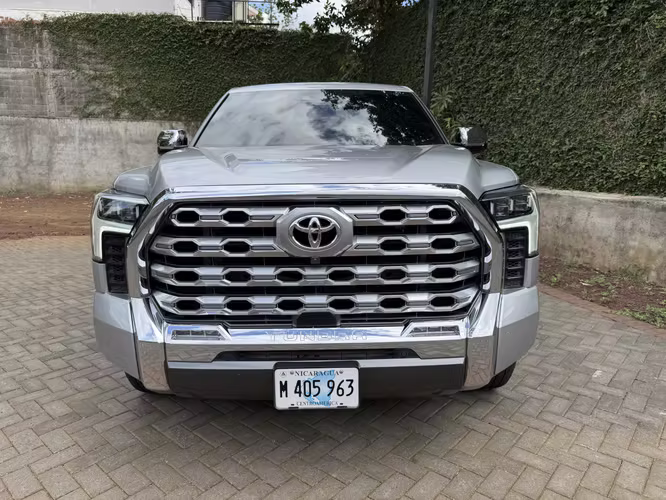 TUNDRA -2024 EDICION 1794