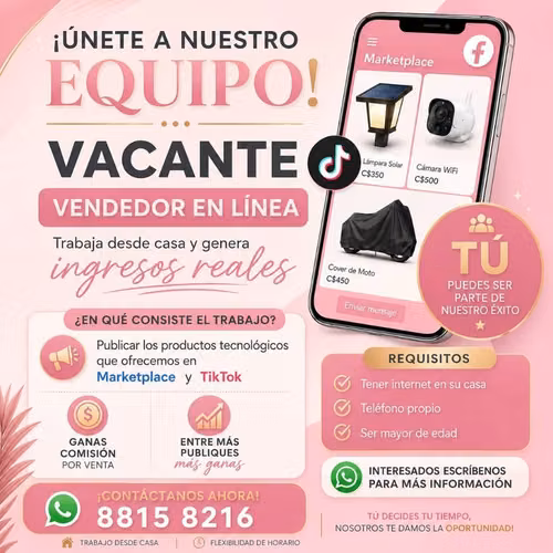 Vendedor en linea