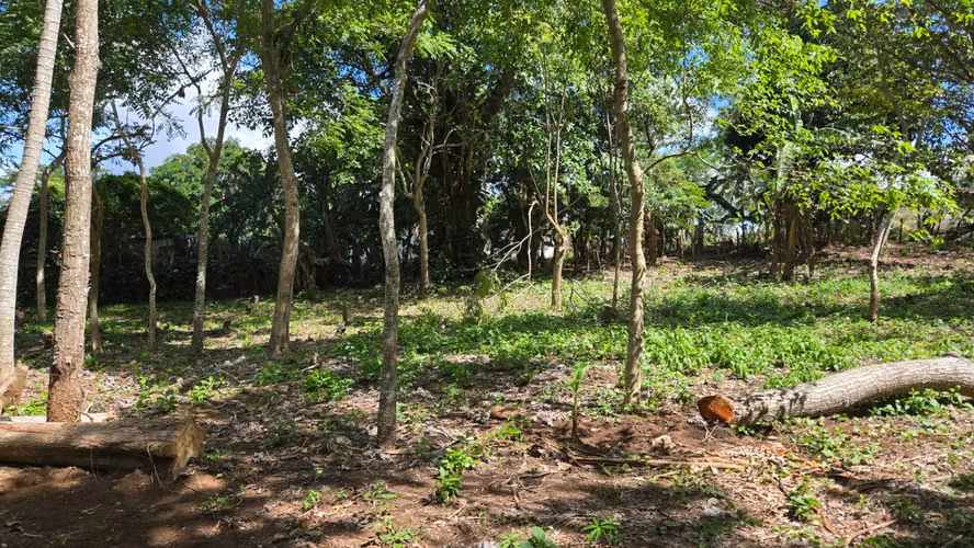 KM49 CARRETERA JINOTEPE TERRENO EN VENTA - Imagen 3
