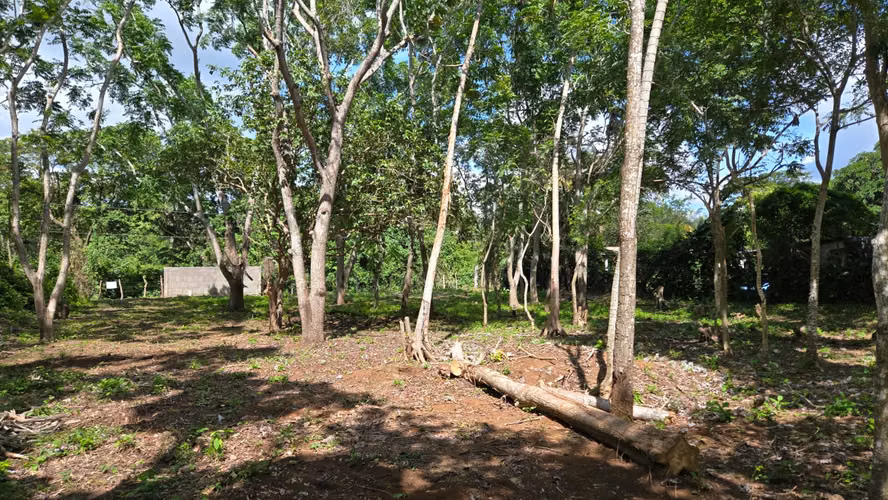 KM49 CARRETERA JINOTEPE TERRENO EN VENTA - Imagen 5