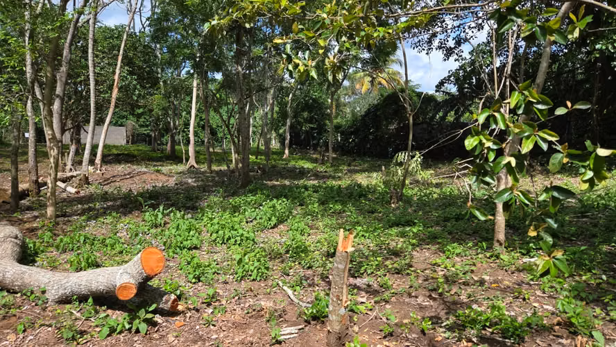 KM49 CARRETERA JINOTEPE TERRENO EN VENTA - Imagen 11