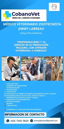Servicios Veterinarios 