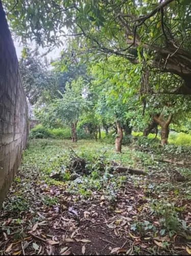 VENTA DE TERRENO - Imagen 2