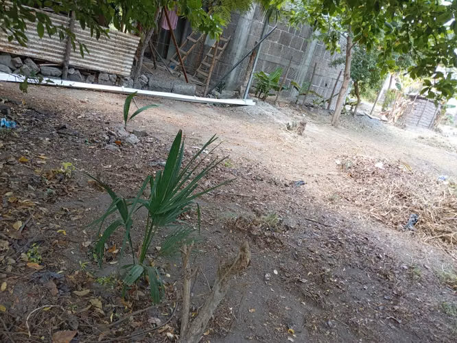 ¡Terreno en Venta – Villa Bethel, Carretera Norte! - Imagen 5