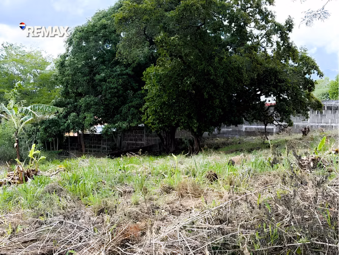 Amplio Lote Residencial en Villa El Rosario - Imagen 6