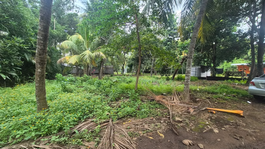 Construí el hogar que siempre soñaste en Km 13.2 C Masaya - Imagen 4