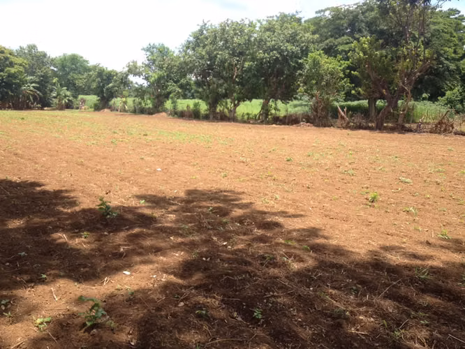 Venta de Terreno en Veracruz - Imagen 16
