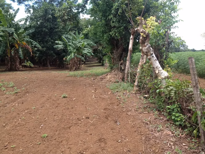 Venta de Terreno en Veracruz - Imagen 15