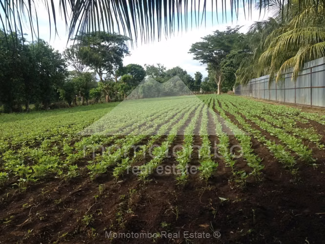 Terreno en Venta Carretera A Veracruz, Managua - Imagen 5
