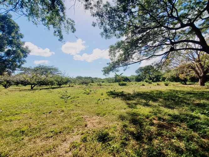 EB-Vendo terreno en Tisma km 38 - Imagen 8