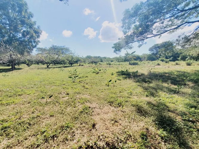 EB-Vendo terreno en Tisma km 38 - Imagen 7