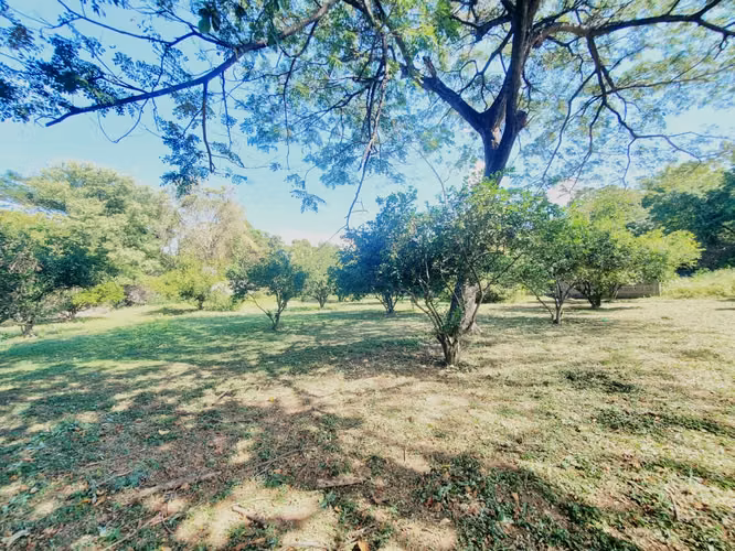 ¡SE VENDE! Terreno en Carretera Tisma km 38 - Imagen 19
