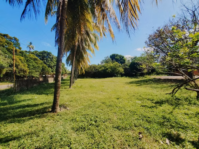 EB-Vendo terreno en Tisma km 38 - Imagen 13