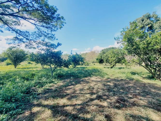 EB-Selling land in Tisma km 38