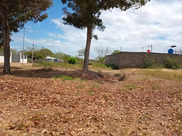 Se vende terreno Granada-Masaya kilómetro 43 - con acceso directo a carretera