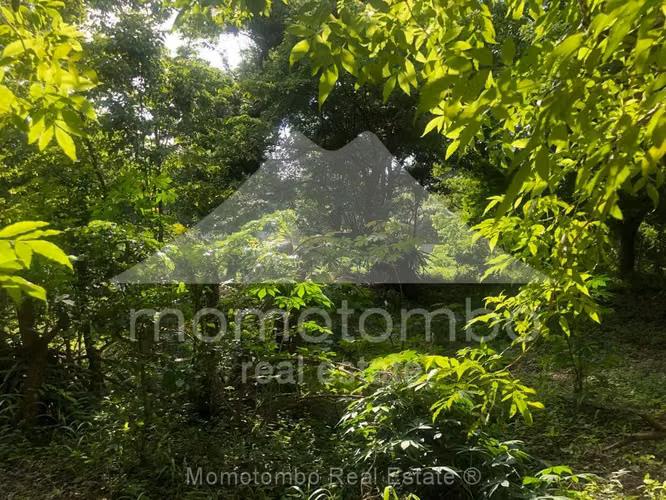 Terreno en Venta Las Colinas, Managua
