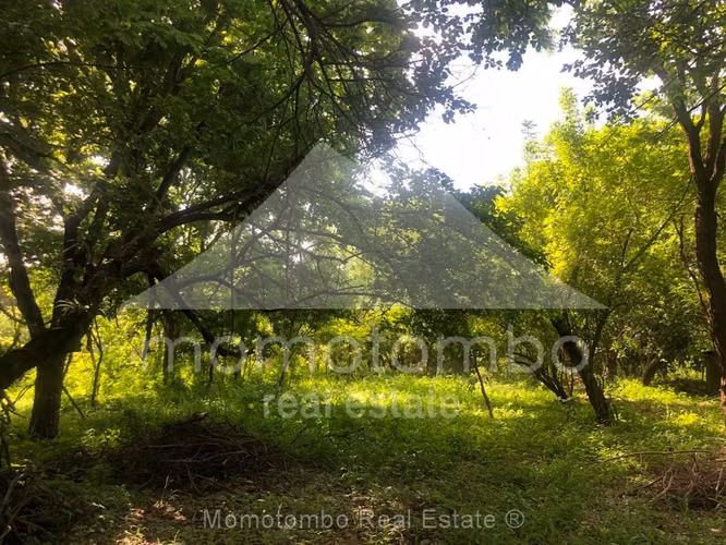 Terreno en Venta Las Colinas, Managua