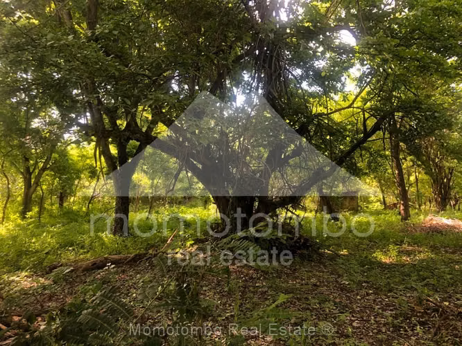 Terreno en Venta Las Colinas, Managua