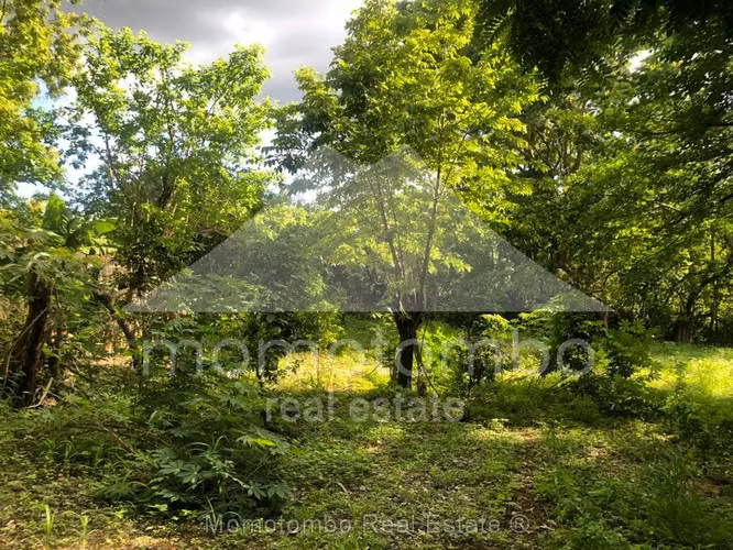 Terreno en Venta Las Colinas, Managua