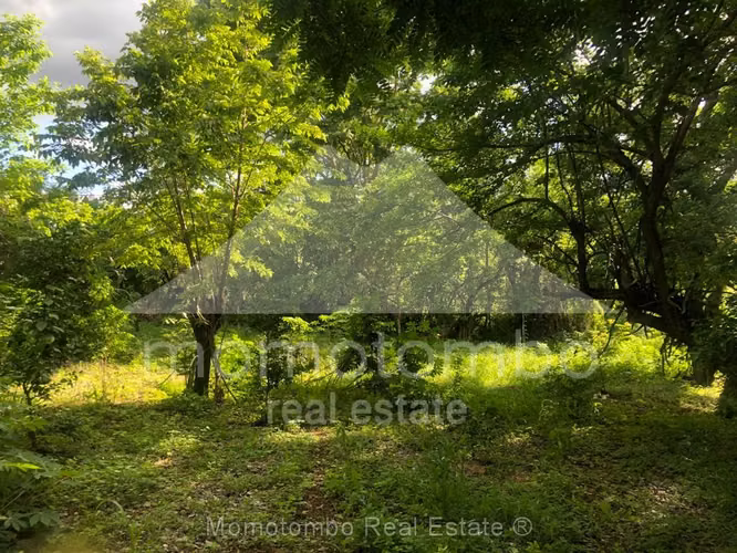 Terreno en Venta Las Colinas, Managua
