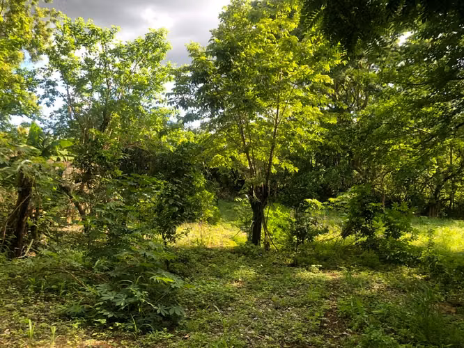 Venta de Terreno en Las Colinas