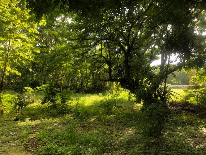 Venta de Terreno en Las Colinas