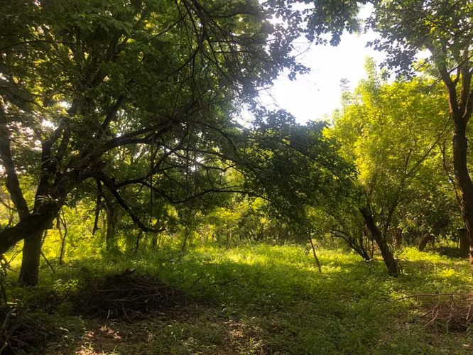 Venta de Terreno en Las Colinas