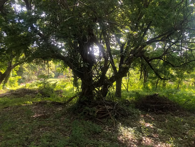 Venta de Terreno en Las Colinas