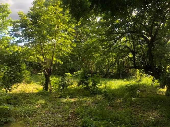 Venta de Terreno en Las Colinas