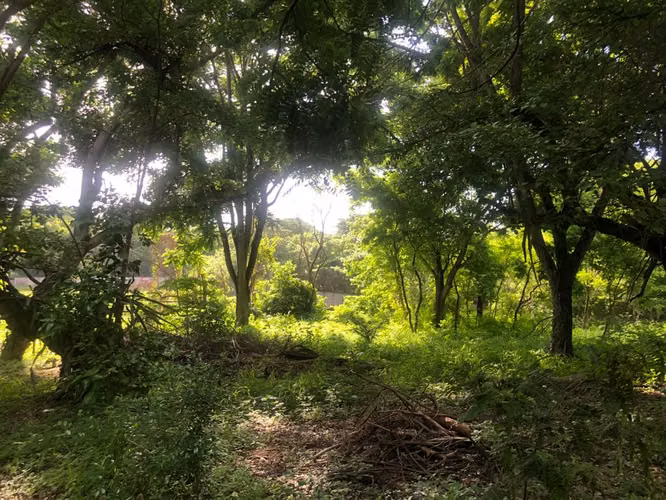 Venta de Terreno en Las Colinas