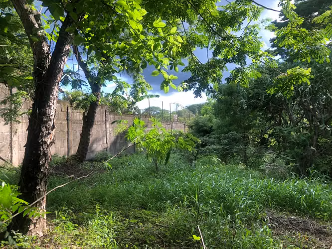 Venta de Terreno en Las Colinas