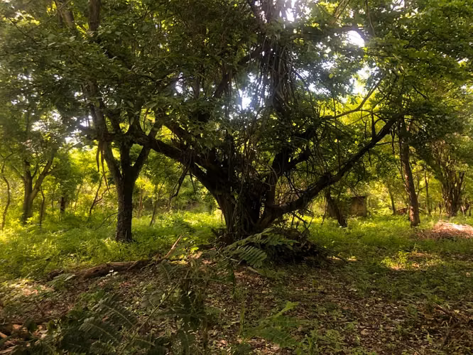 Venta de Terreno en Las Colinas